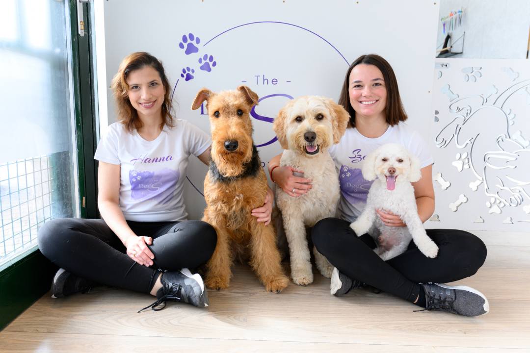 A The Dog's Paw budakeszi kutyakozmetika csapata, Hanna és Szandi három kutyával